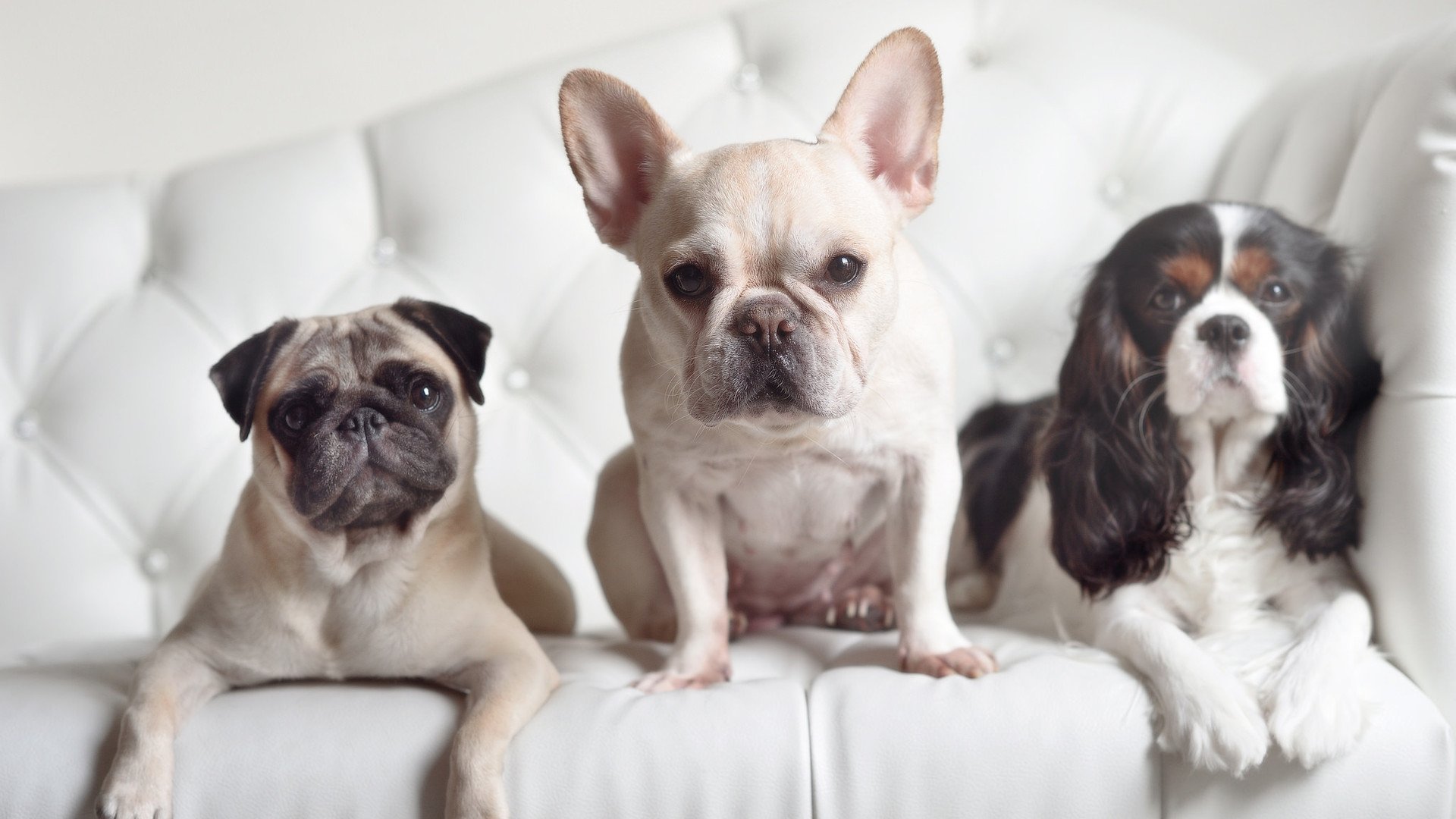 冷刃与心跳，恩佐关键回合不手软的艺术