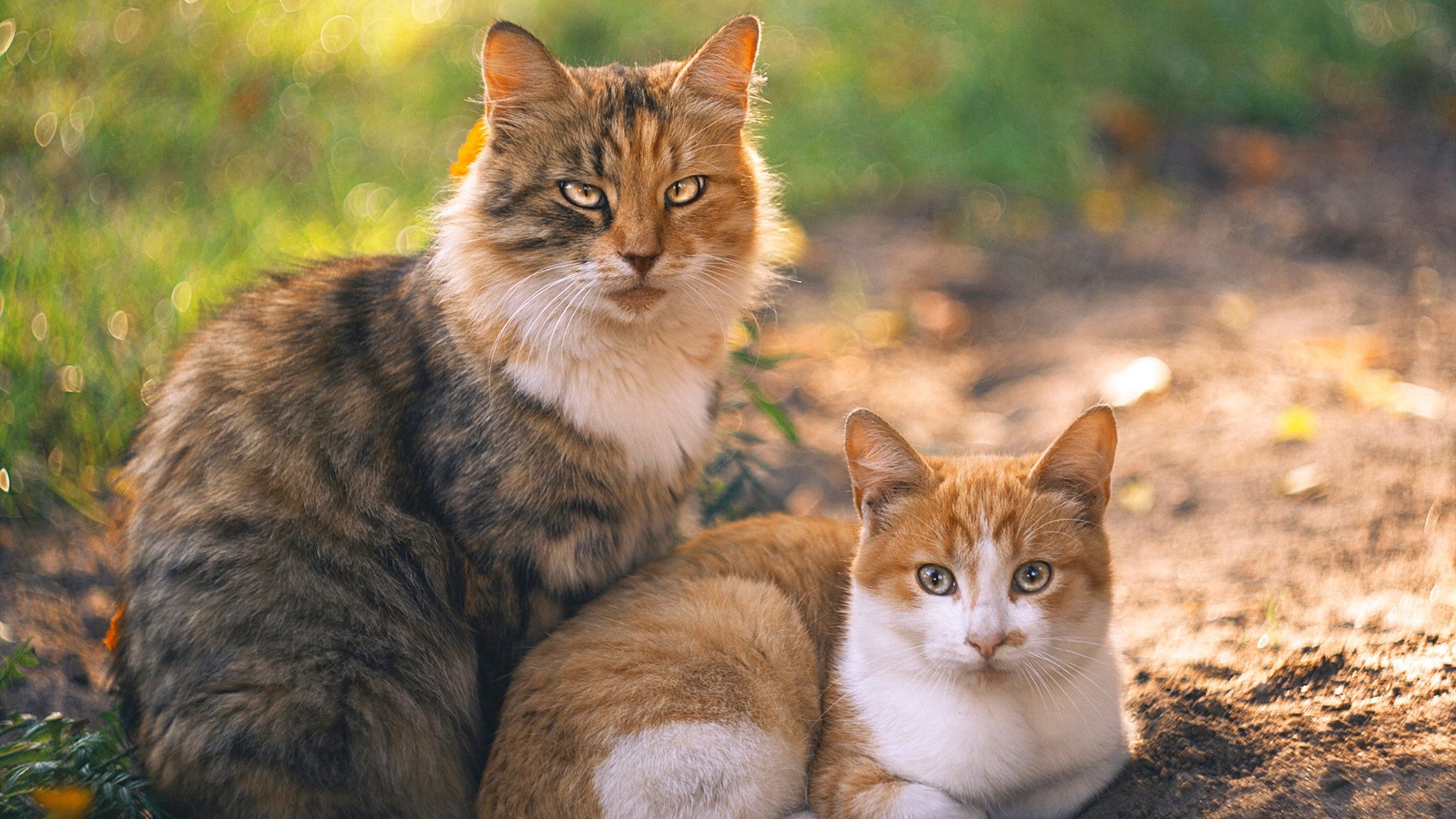 救赎之夜，从嘘声到赞歌，格列兹曼如何亲手改写命运