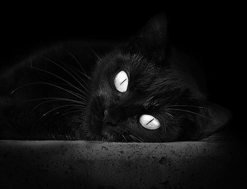 双王之争，西甲国家德比与浙江队的加时制胜哲学