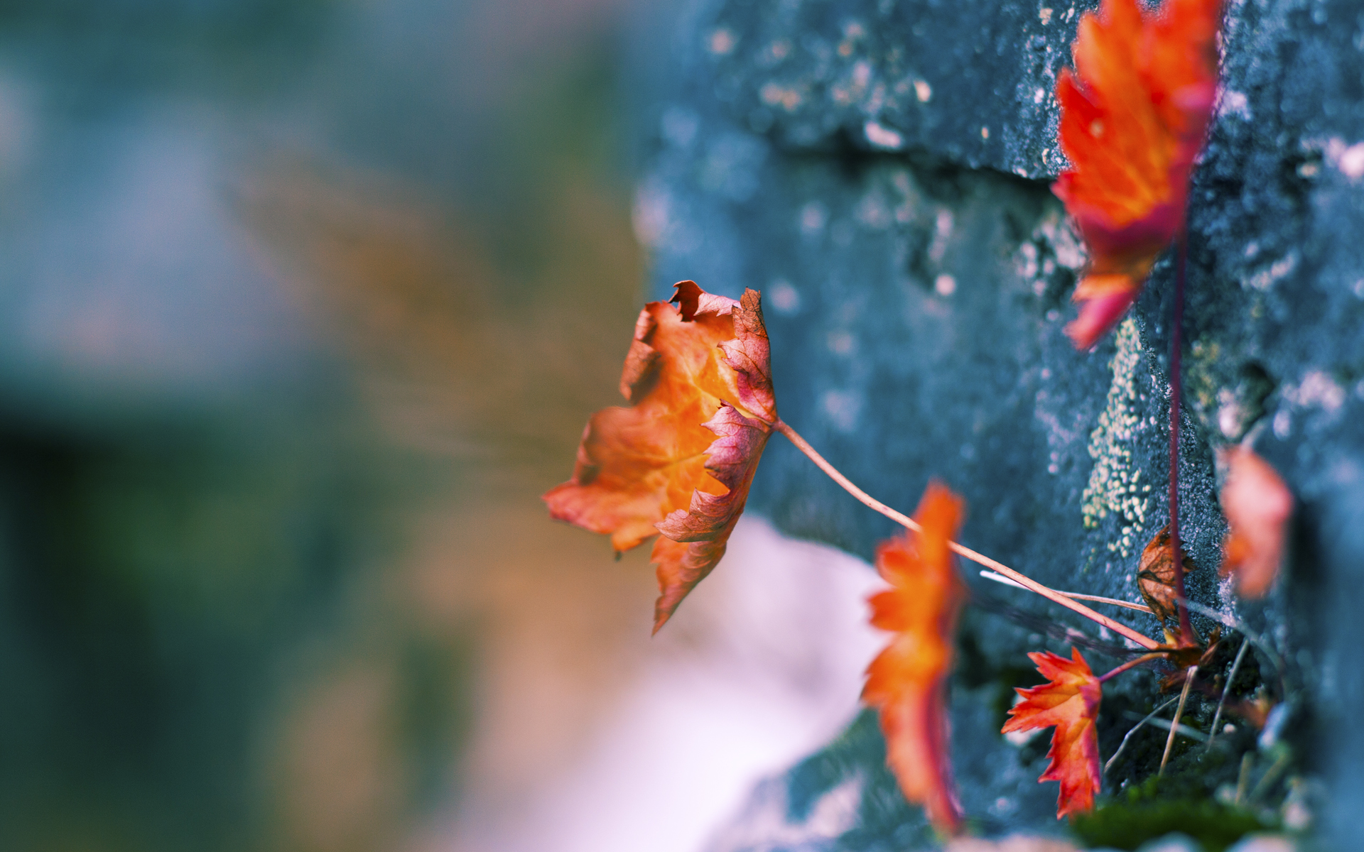 骑士终结决胜局魔咒，拉梅洛关键战手刃广厦