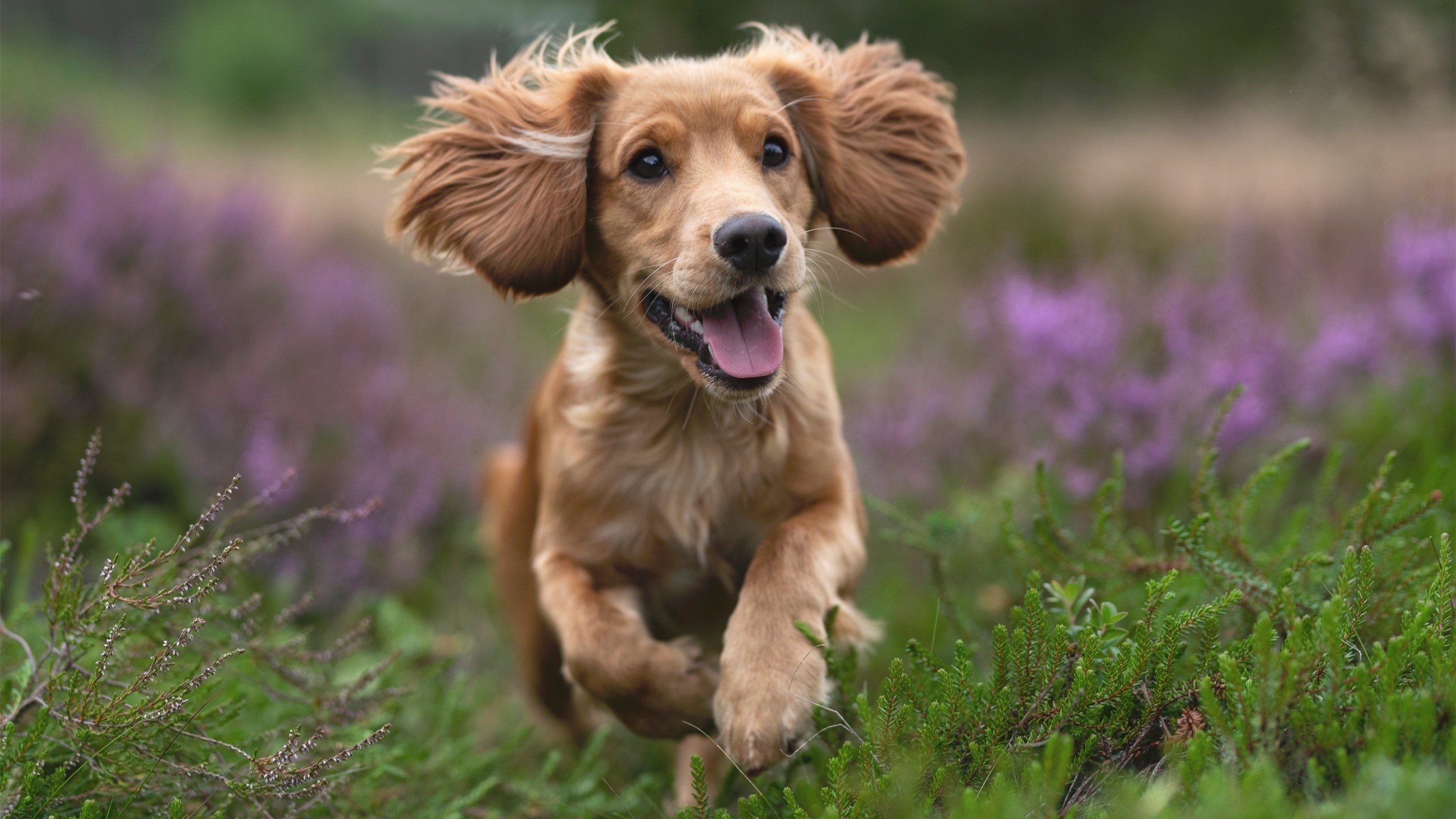 开云体育app-当新王踏上麦迪逊，爱德华兹在年度焦点之战宣告权柄更迭