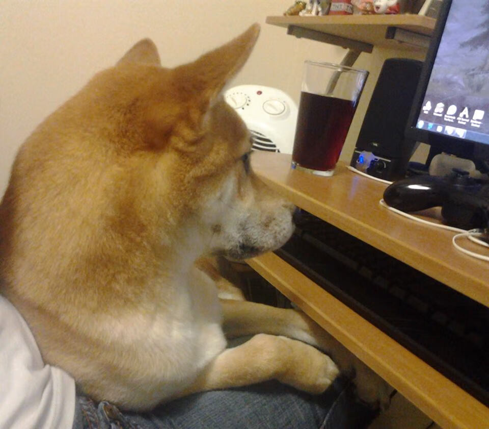 从雅典到斯德哥尔摩，当奥纳纳成为北欧之夜的决定性变量