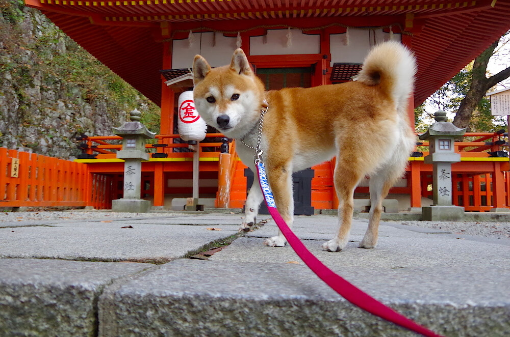 开云体育中国-梅西，时间的神偷，蓝白的永恒舵手