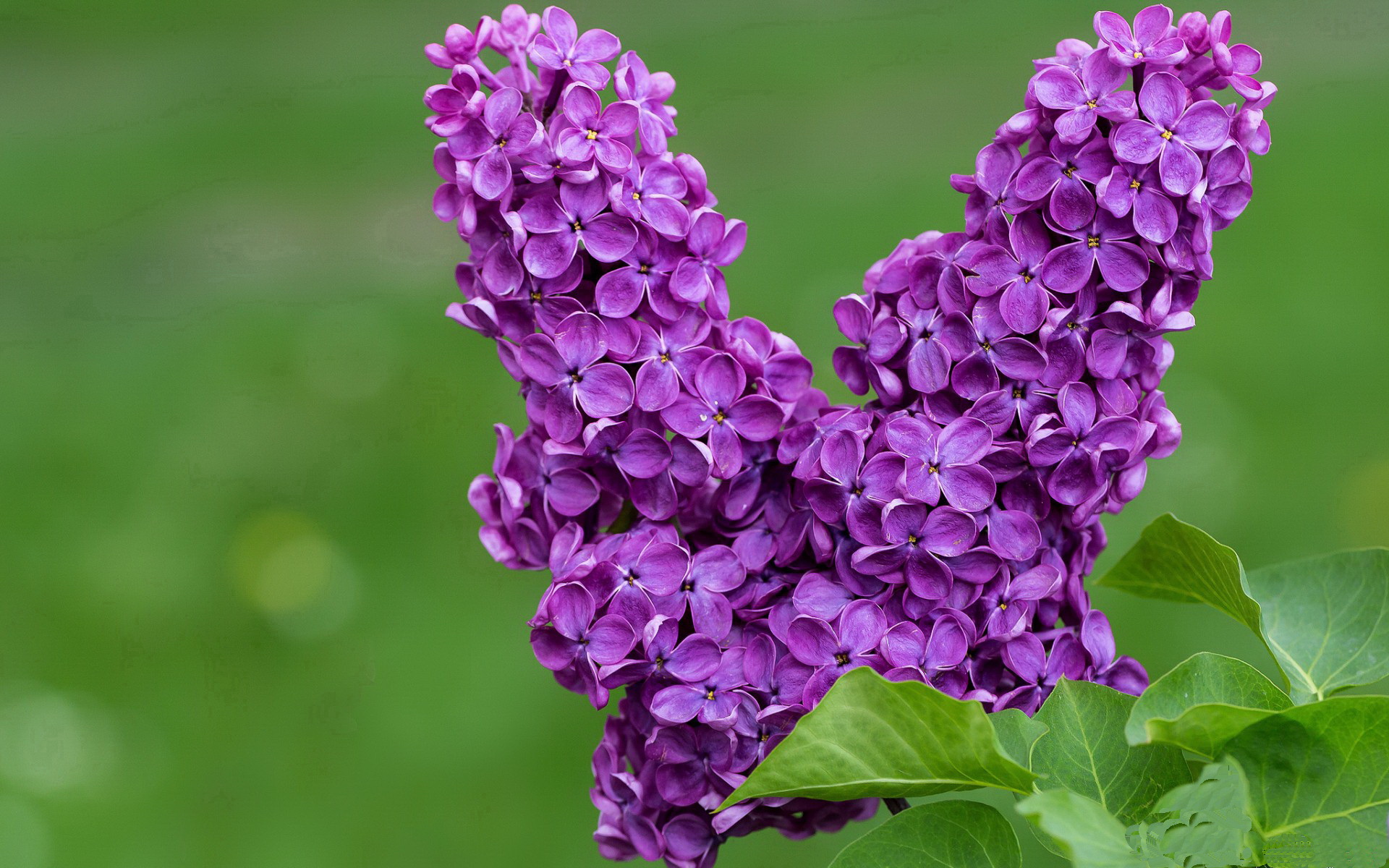 中投未死,蛮力未胜,当古典技艺在狂野西部杀出黎明