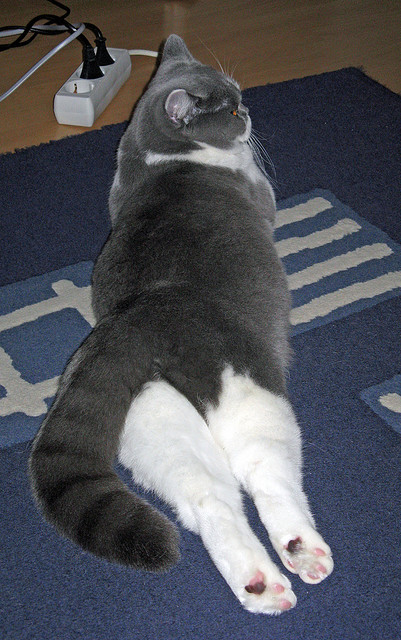 开云体育2026-风城逆袭记，当哈利伯顿化身关键先生，喧嚣时代的冷面杀手