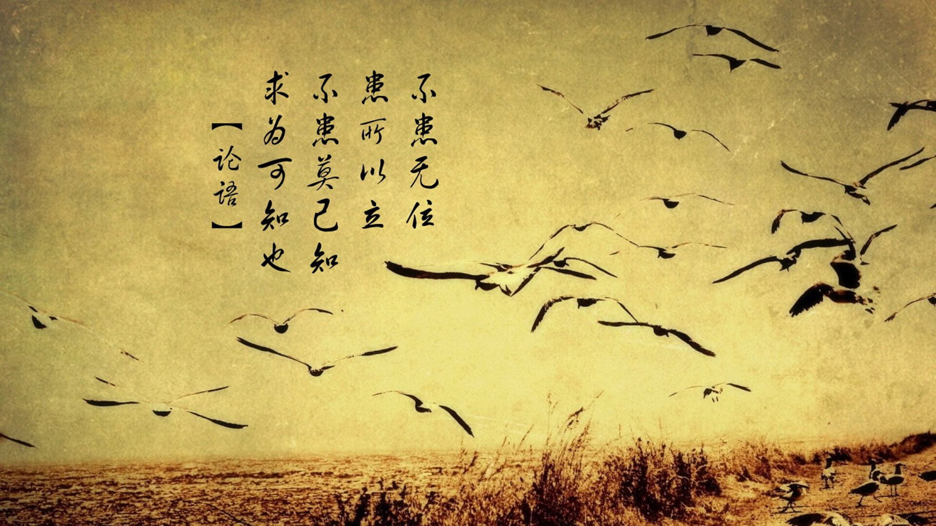 烟花与骰子，当杜兰特燃尽一切，爱德华兹掷出命运一击