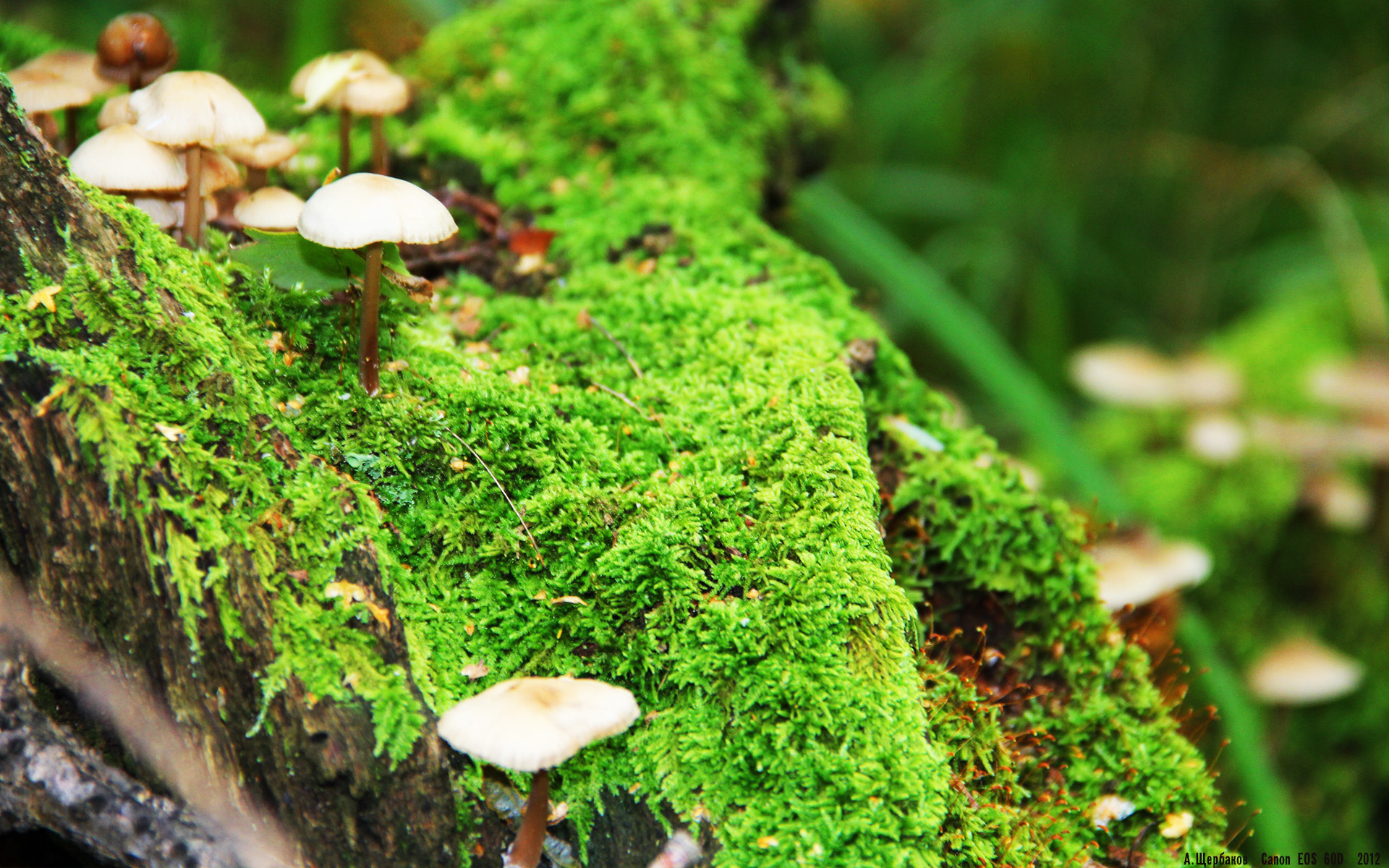 当老鹰掠过休斯顿，解析现代篮球的收割与爆穿艺术