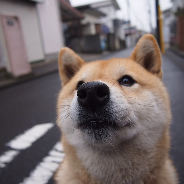 开云体育在线-稳定，是最深沉的力量