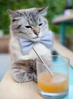 铁卫头槌破僵局，雄狮怒吼镇药厂