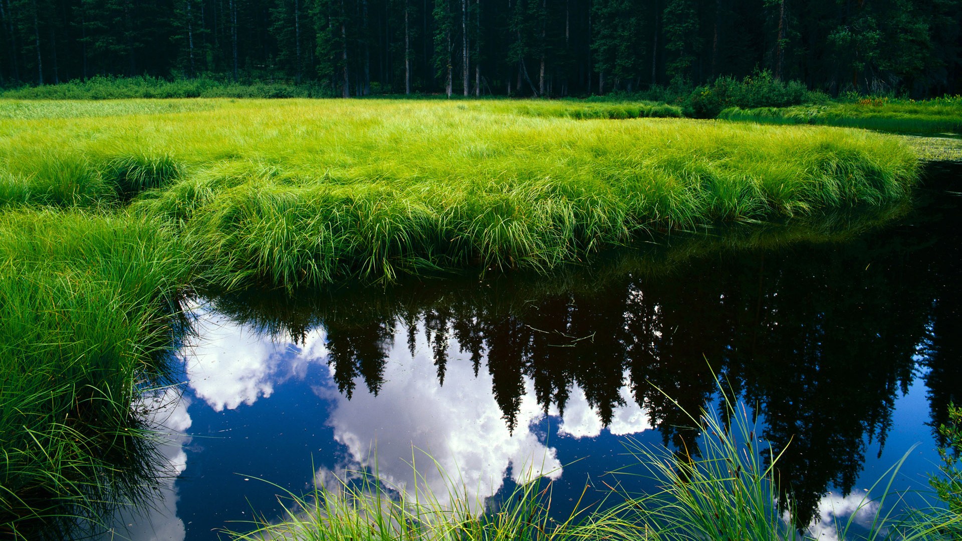 皮克的幽灵，曼城稳健胜雷恩，英超争冠迎来接管者时刻