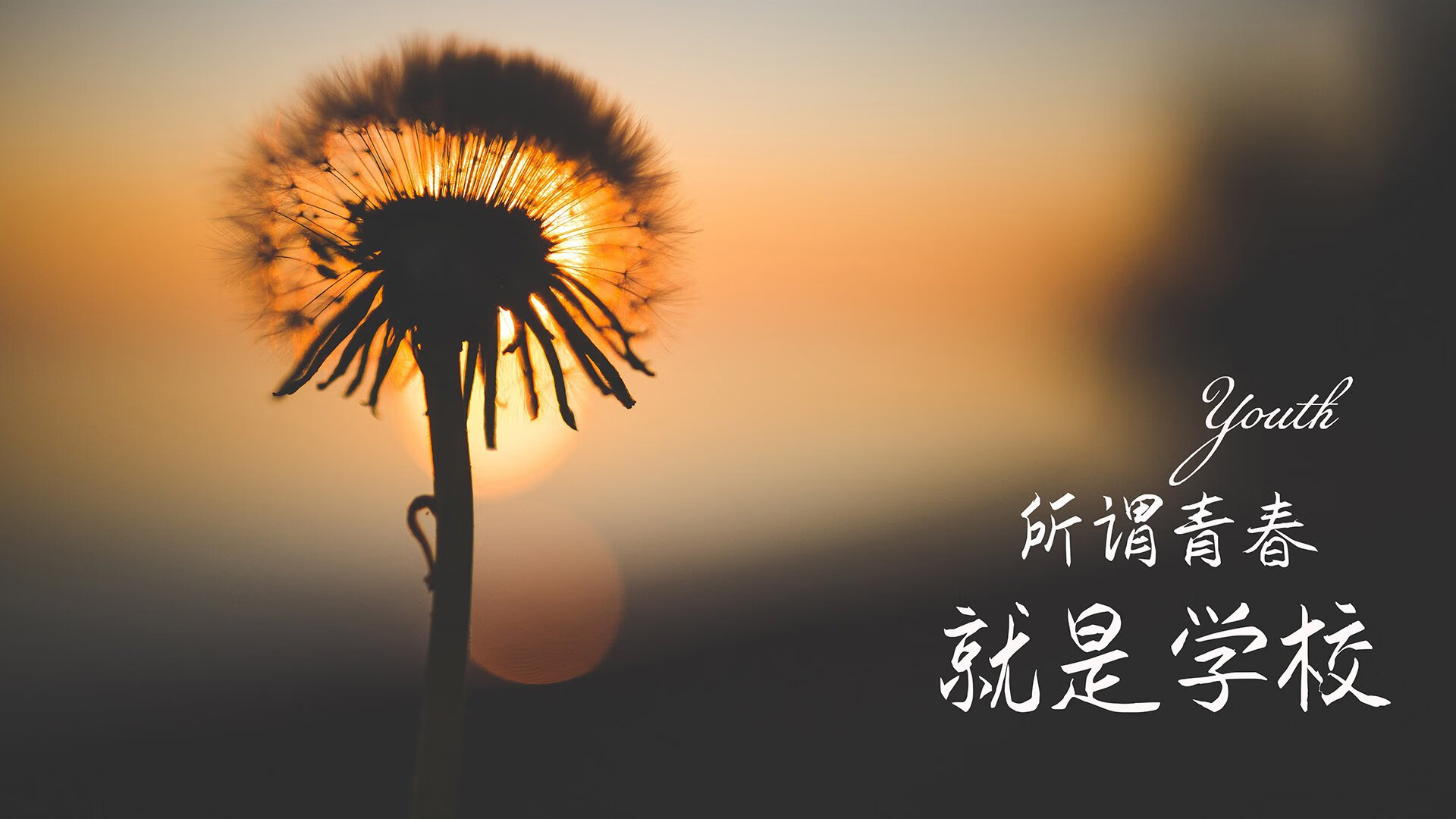 2026世界杯B组，格列兹曼的独舞，与泰国足球的新纪元—一场节奏如电的非对称强强对话