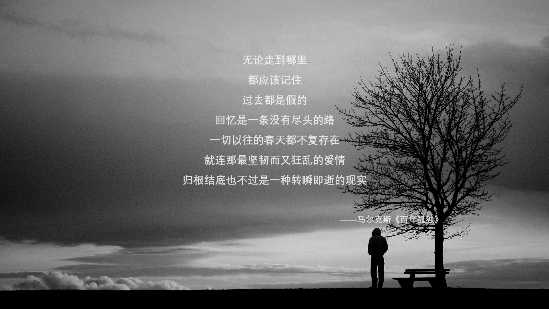 开云体育-极寒与烈阳,当北欧铁骑踏破安第斯山脉,布罗佐维奇如何以一人之力,定义了一场非典型的横扫?2026世界杯八分之一决赛瑞典vs厄瓜多尔战记